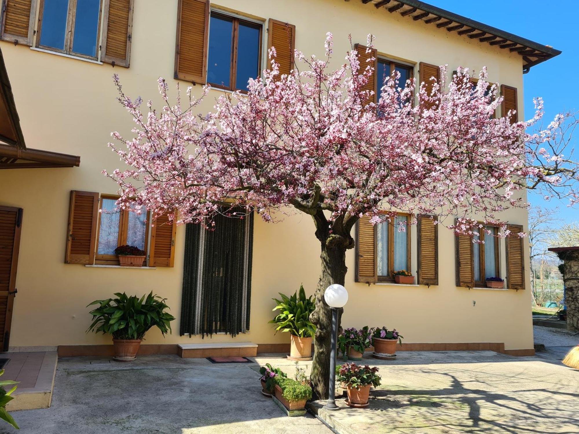 B&B Barbara Assisi Cannara Exteriér fotografie