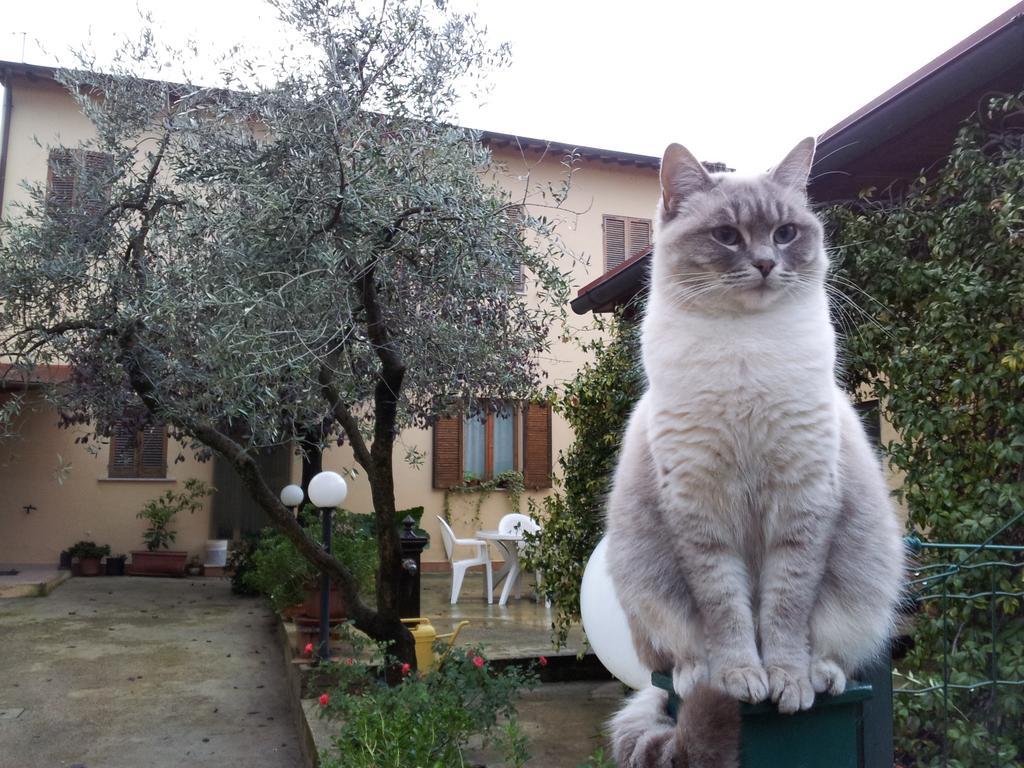 B&B Barbara Assisi Cannara Exteriér fotografie